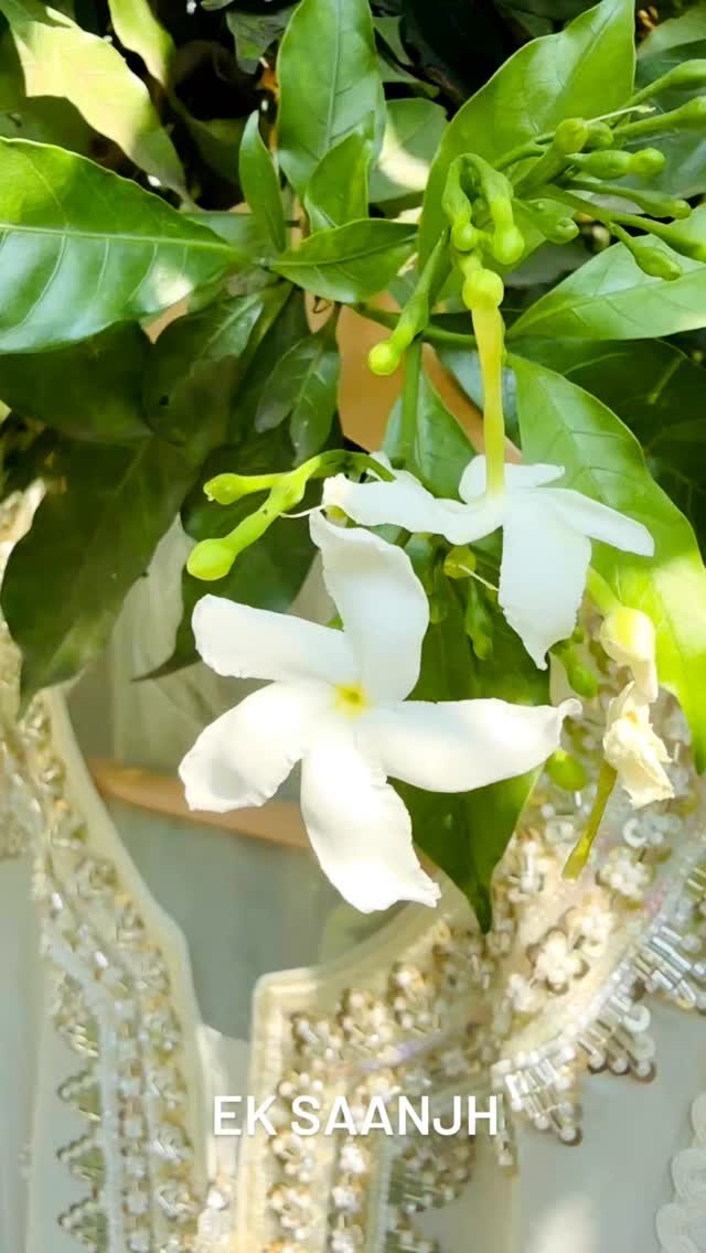 Instagram post from ek.saanjh. This post is in position 3.